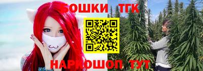 гидропоника Бийск