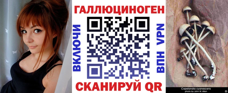 МЕГА рабочий сайт  Богородск  Галлюциногенные грибы мухоморы  сколько стоит 
