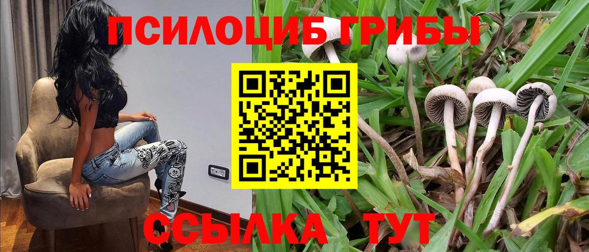 Псилоцибиновые грибы Psilocybine cubensis  Вход с VPN  Богородск 