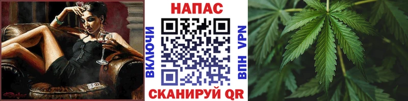 Конопля гибрид  Богородск 